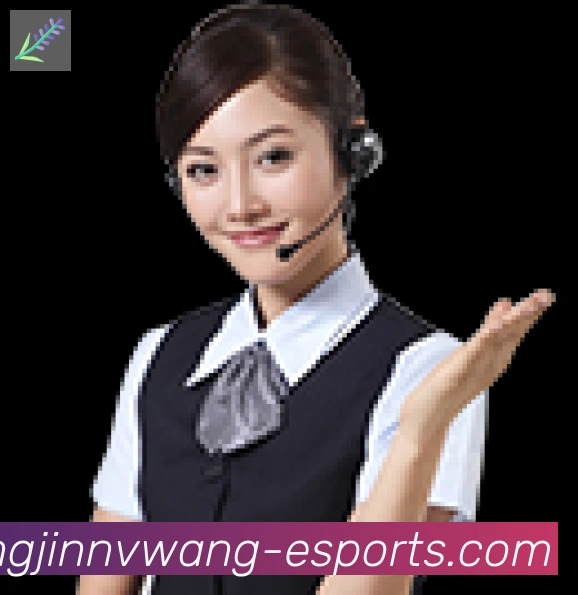 未来规划